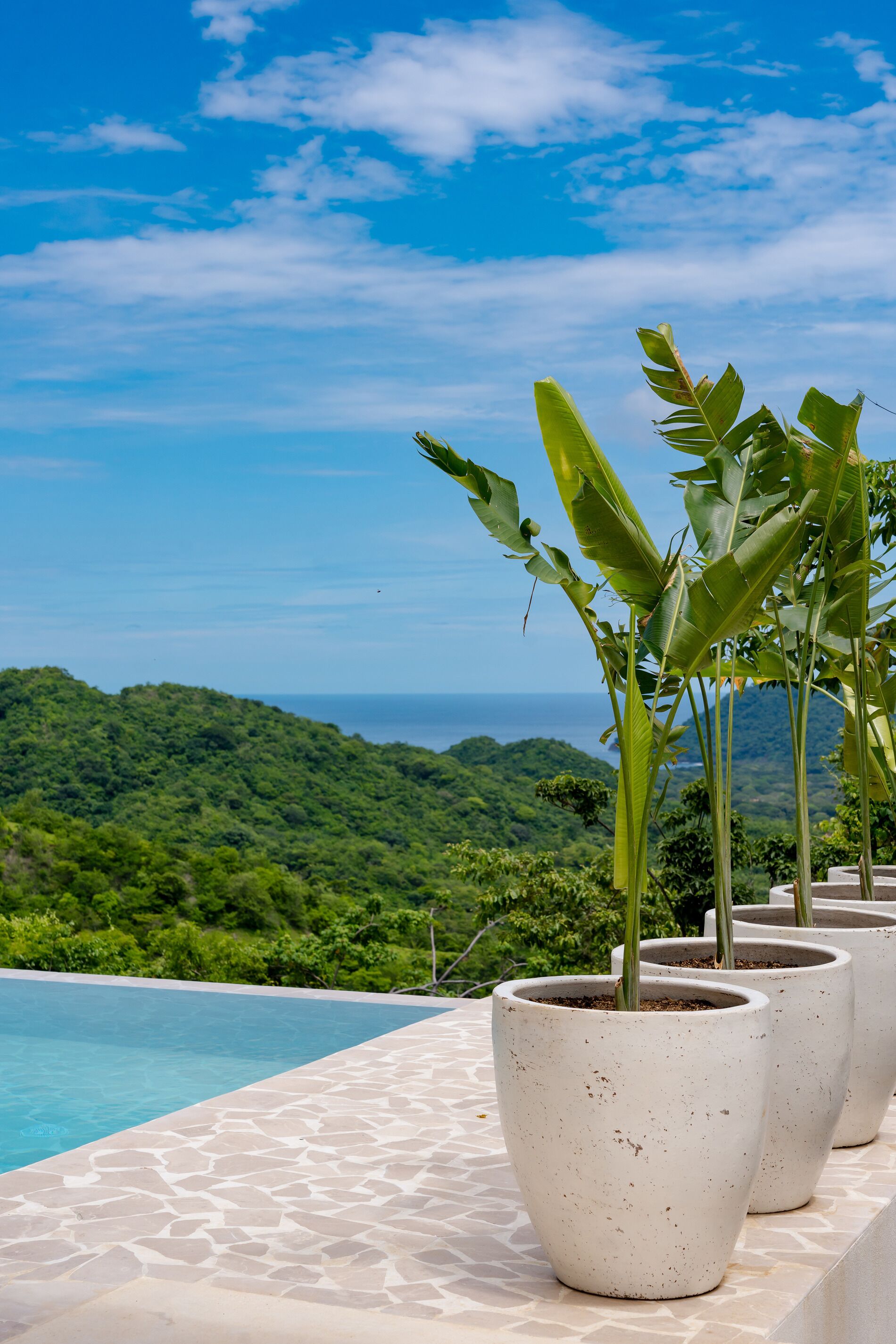 A poolside area with potted plants and a view of a lush green landscape and ocean.