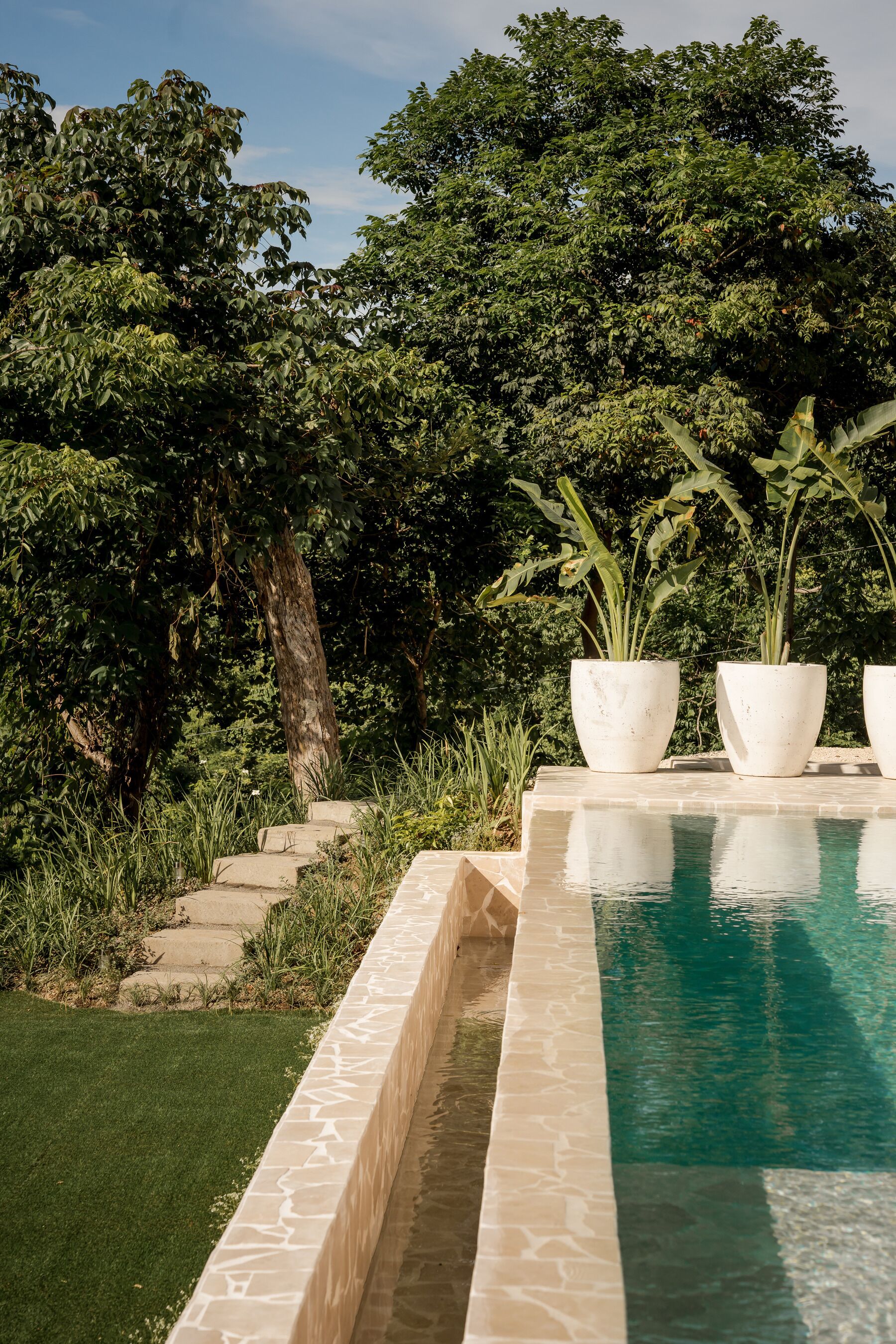 A swimming pool with a stone border, surrounded by lush greenery and trees.