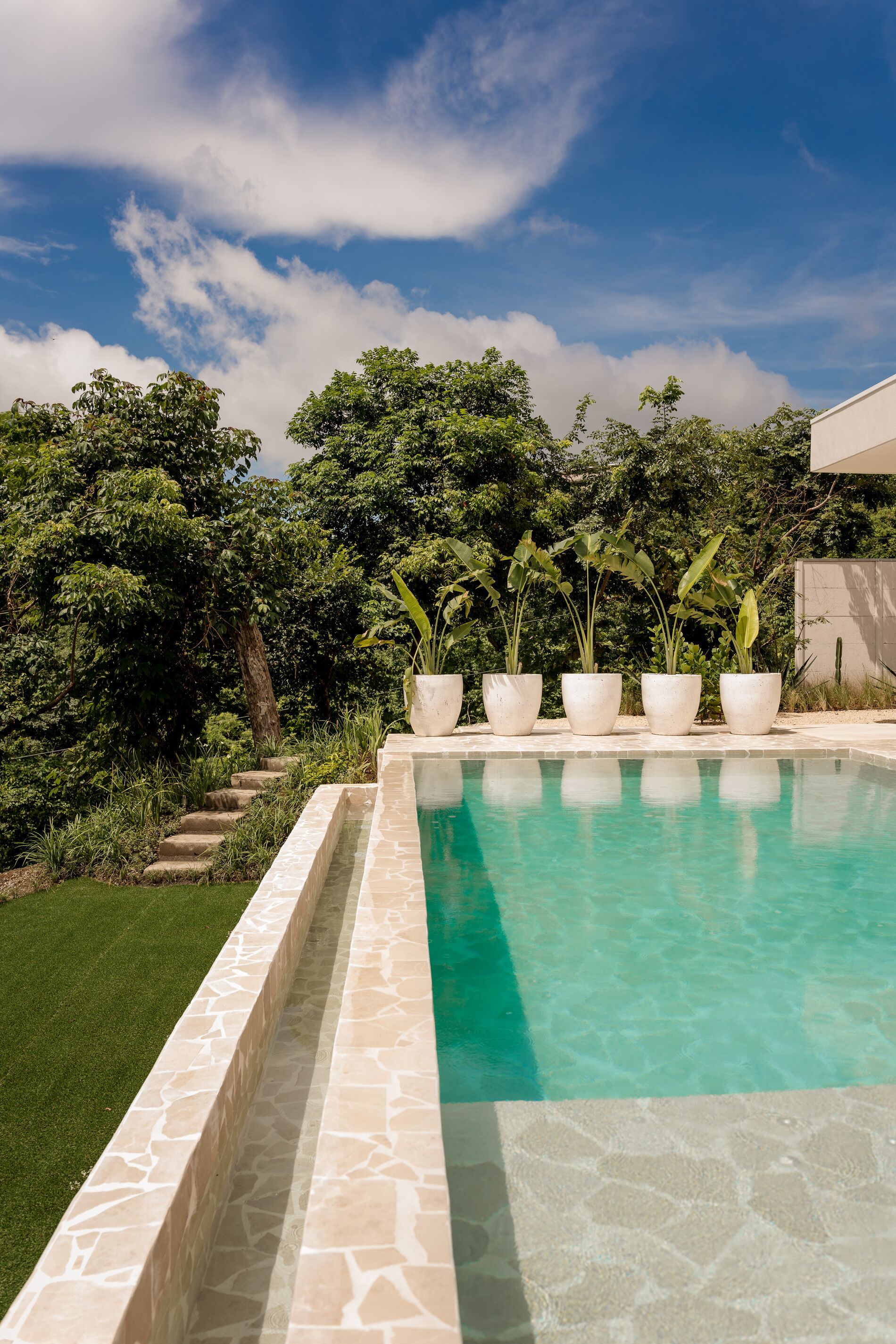 Una piscina con borde de piedra, rodeada de exuberante vegetación y árboles.