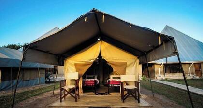 Welcoming 13-bedroom campground in Saadani National Park.