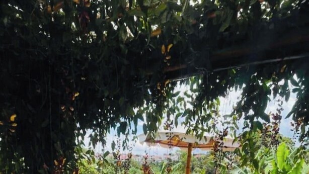 An outdoor patio with a table and chairs, surrounded by lush greenery and a view of the landscape. - Lovely cabin with WiFi in charming Circasia (Circasia)