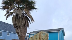 Ein blaues Gebäude mit einer Holzterrasse, einer Palme und einem Rasenstück.