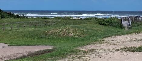A coastal landscape with a grassy area, a wooden fence, and a sandy path leading to a beach.