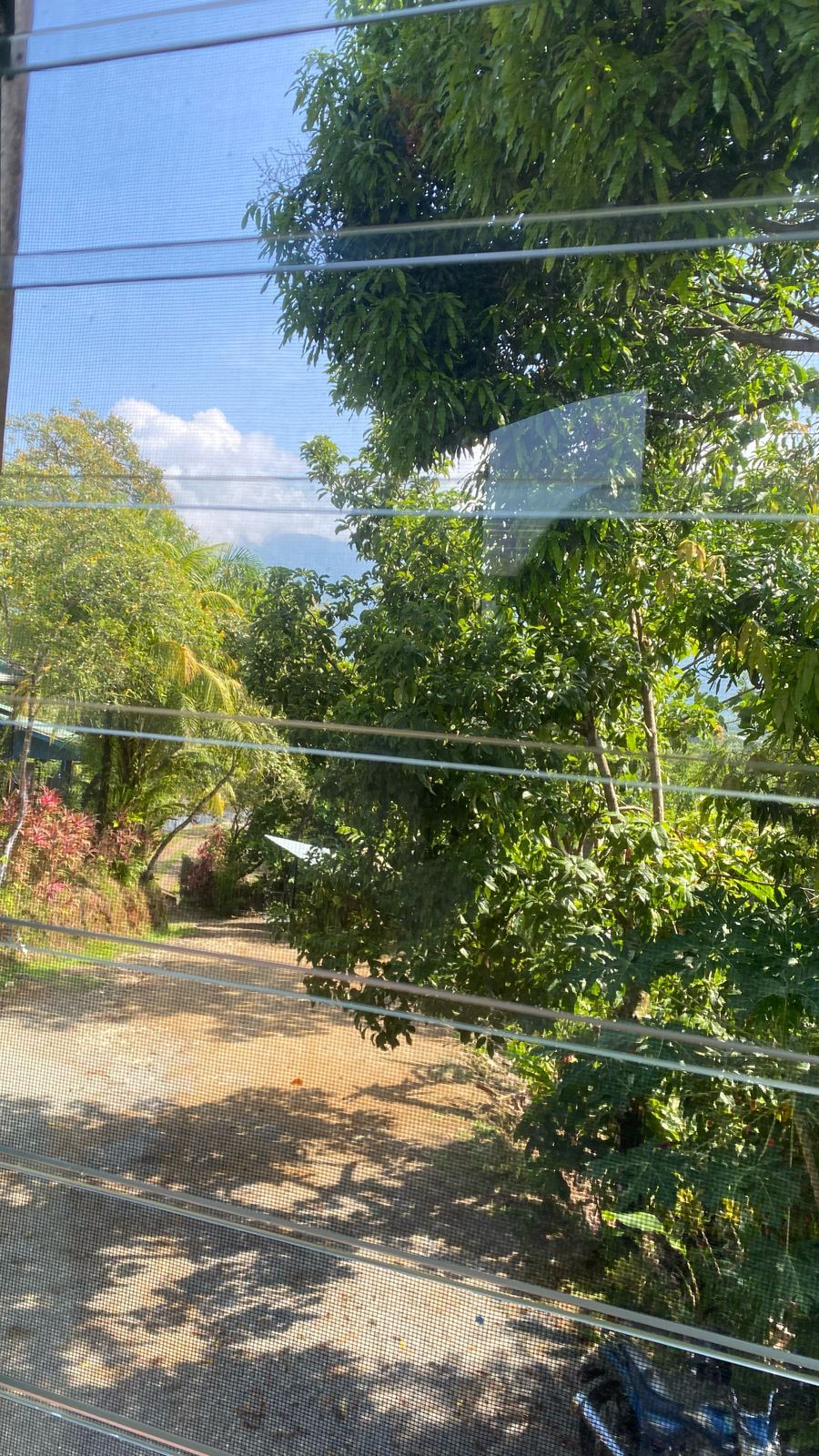 Vista a través de una cerca de malla con árboles y cielo despejado.