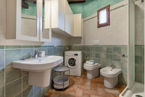 Shower, hair dryer, bidet, towels