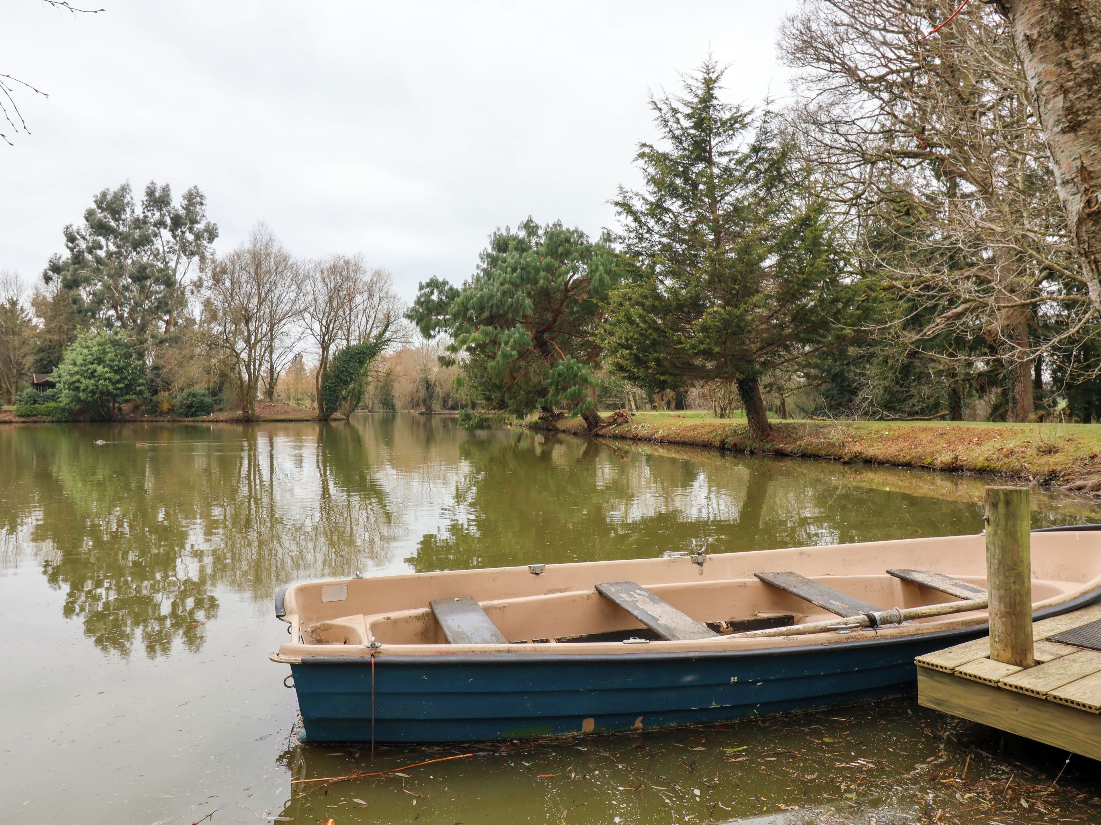Ein kleines Boot liegt an einem hölzernen Steg, umgeben von Bäumen und ruhigem Wasser.