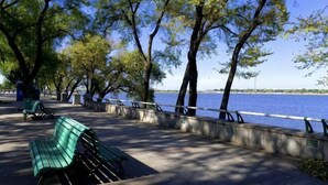 A riverside walkway with benches, trees, and a view of the water. - Bremen Hotel ( Central Street) (Harbin)