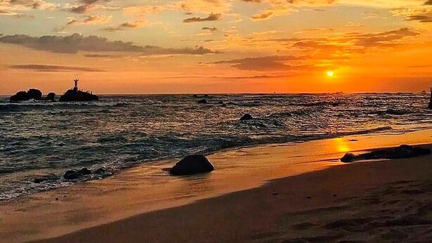 Serviettes de plage