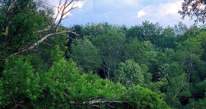 The Farmstead at 373 Willi Hill Rd, Swan Lake NY 12783