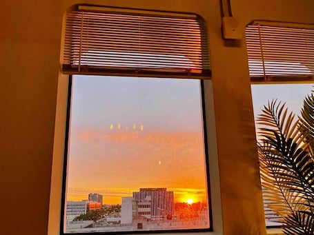 ์ํํธ, ์ฅ์ ์ธ ์ง์ | 1 ๊ฐ์ ์นจ์ค, ์ฑ
์, ์ธํฐ๋ท