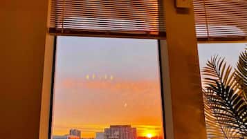 Apartment, Accessible | 1 bedroom, desk, Internet