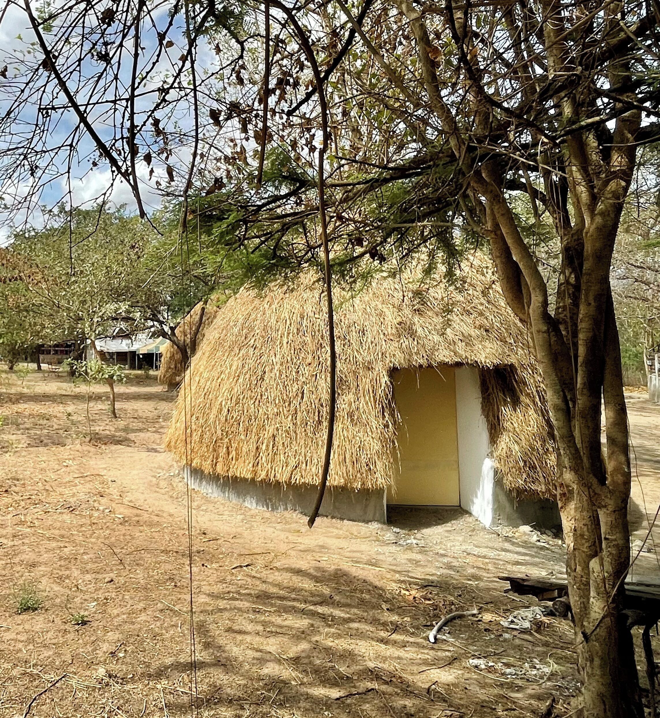 A thatched-roof hut with a simple, single door, surrounded by dry grassland and sparse trees.