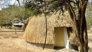 A thatched-roof hut with a simple, single door, surrounded by dry grassland and sparse trees.