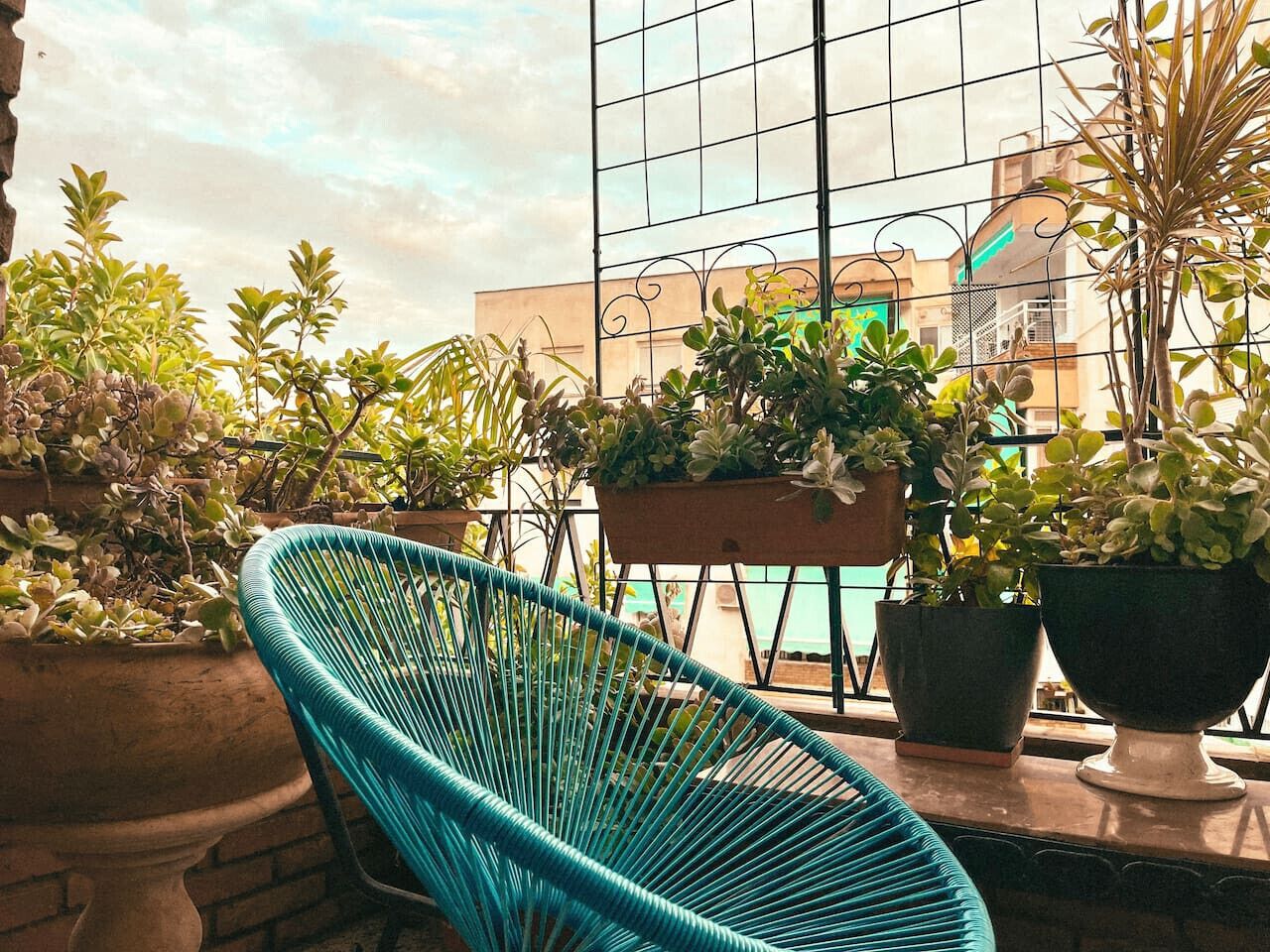 Área da propriedade