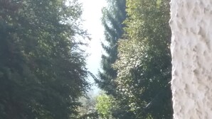 A view from a balcony overlooking a tree-lined street with a speed limit sign of 50. - PANORAMIC EAGLE - The mountains, 5 minutes from the shops (Montoso)