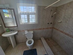 Shower, towels, soap, toilet paper