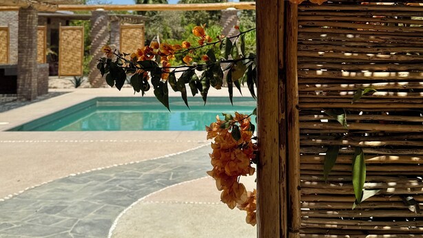 Ein Poolbereich mit einer Holzpergola und einer Blumenkomposition.