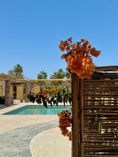 Casita Aleph Todos Santos - Paradise garden with pool