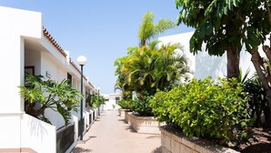 Un estrecho pasillo iluminado por el sol, con edificios blancos, techo de tejas y abundante vegetación, incluyendo palmeras y arbustos.