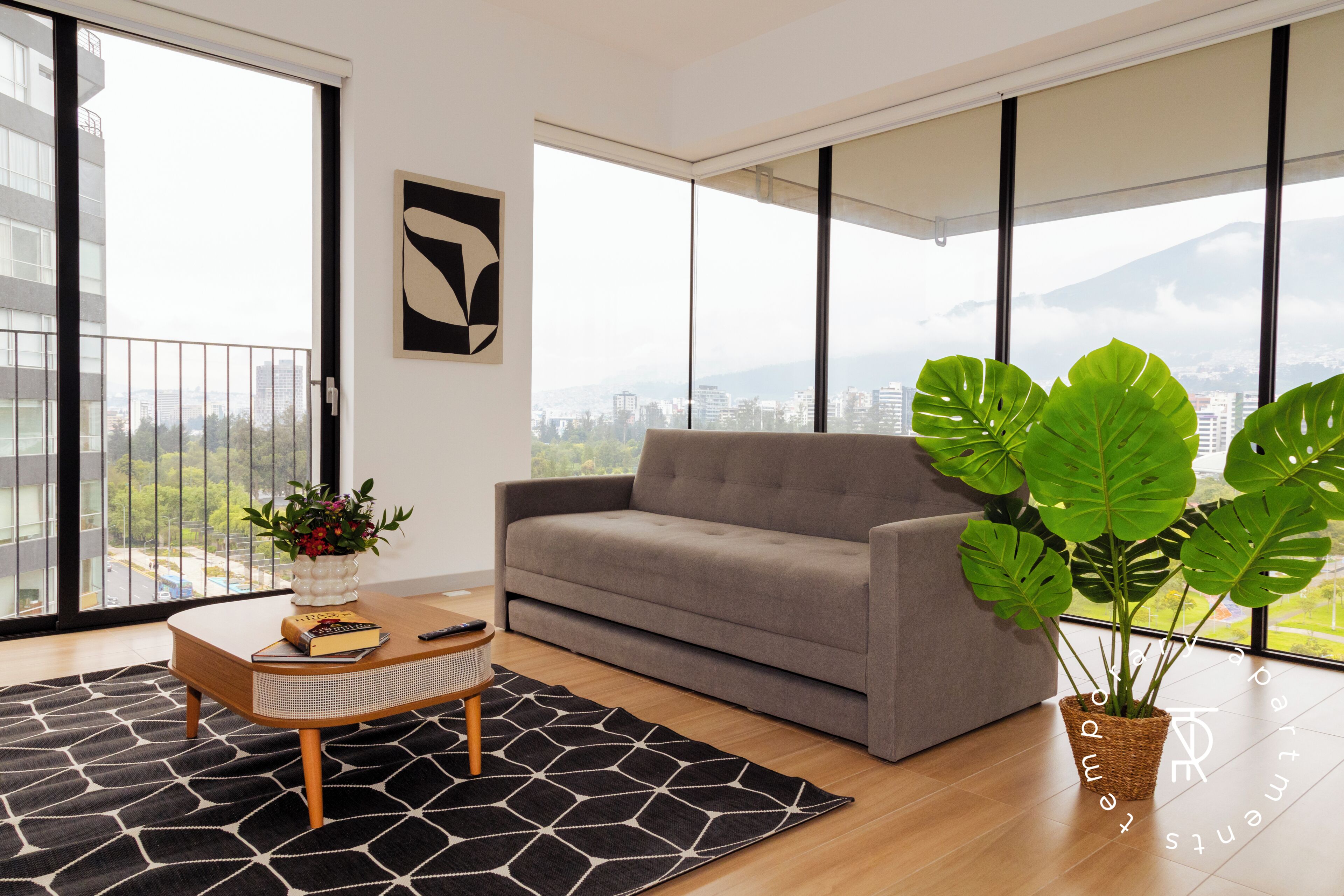 A modern living room with a grey sofa, a coffee table, and a potted plant.