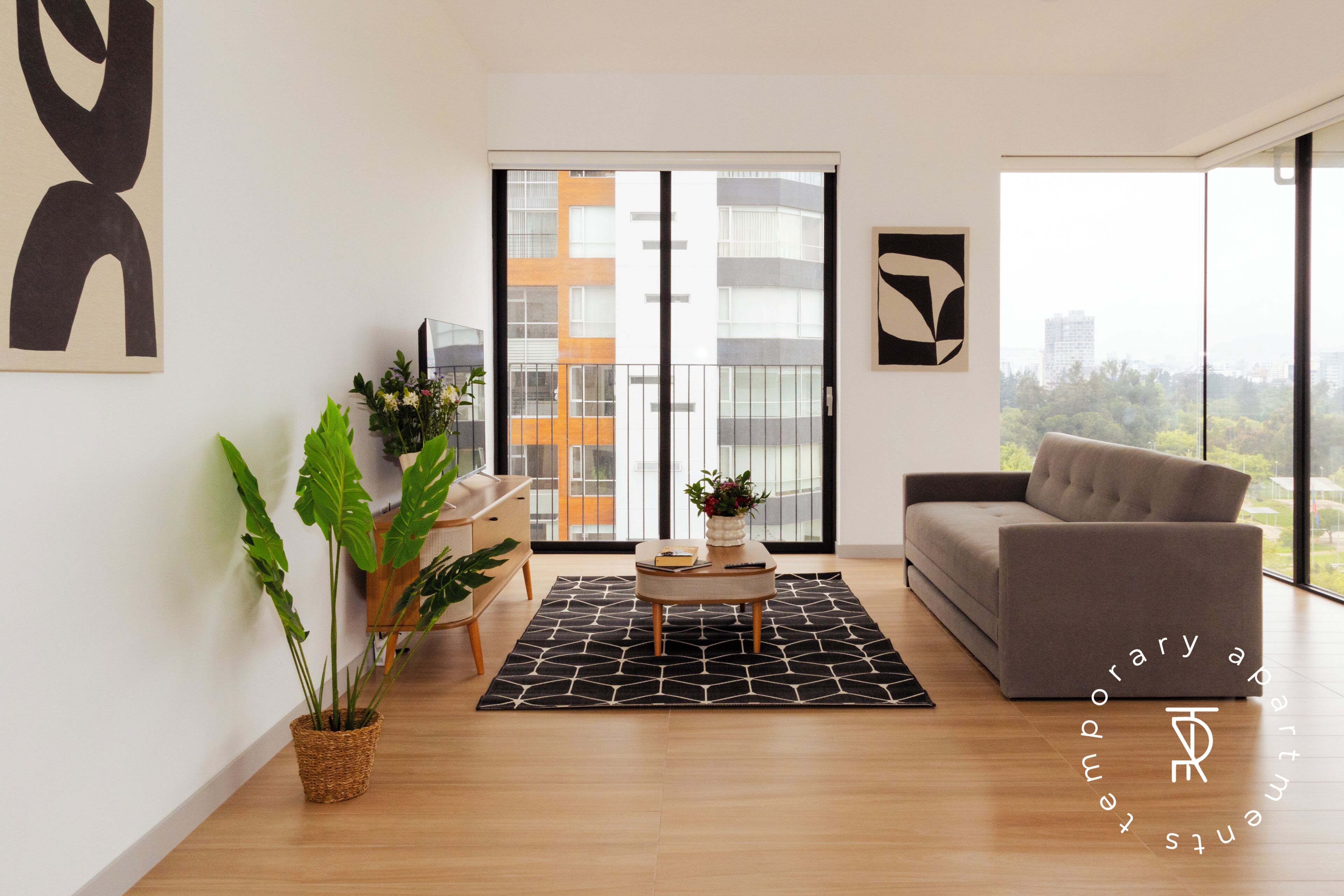 A modern living room with a sofa, a coffee table, and a potted plant.