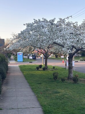 Overnattingsstedets uteområder