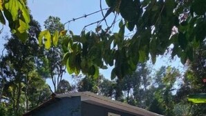 A small, single-story building with a flat roof and a tiled roof. - Eco-Friendly Plantation Retreat Near Thekkady (Anakkara)