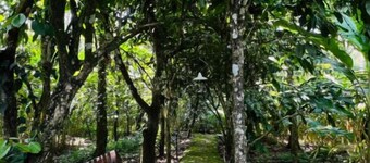 Eco-Friendly Plantation Retreat Near Thekkady