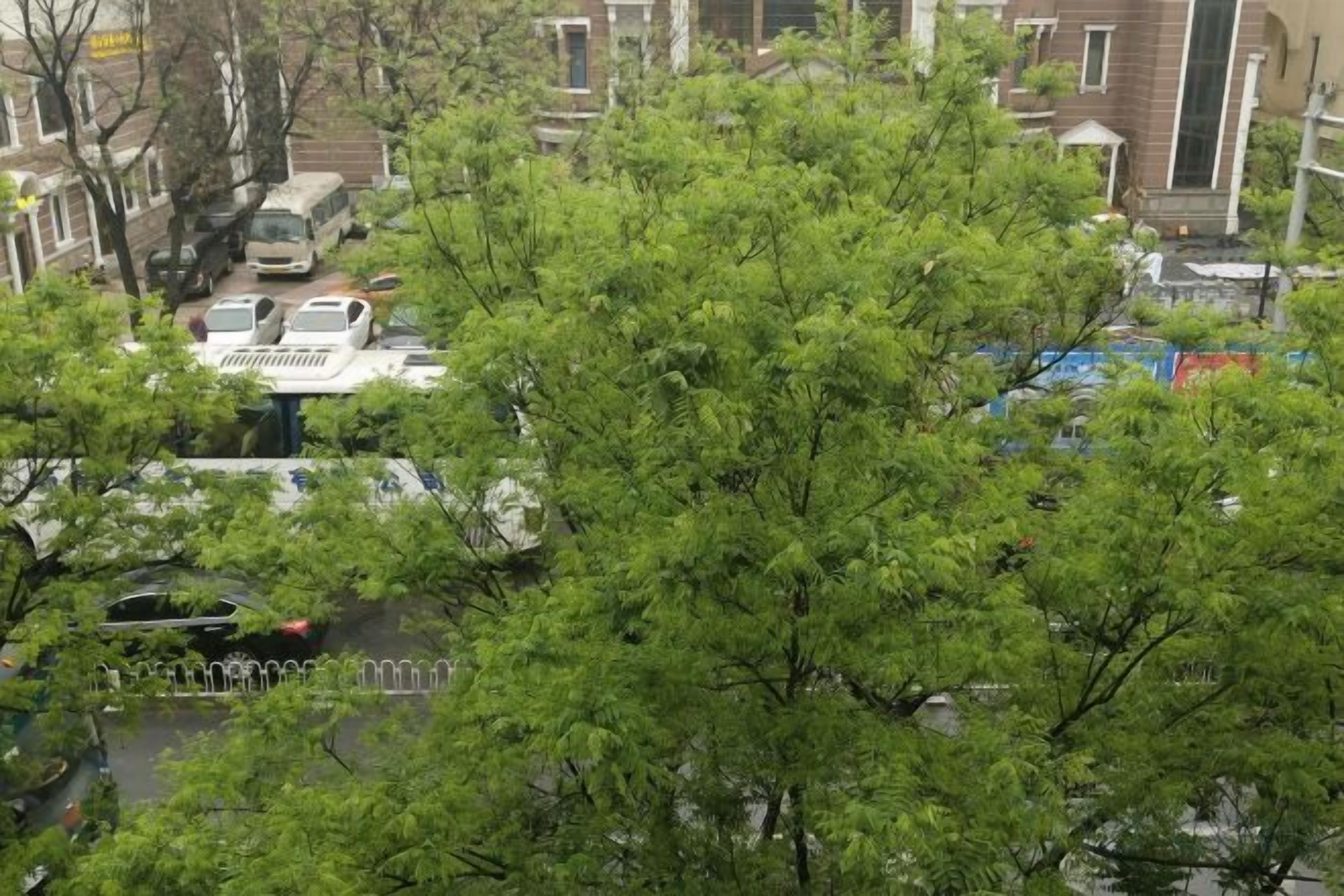 Et boligområde med træer, parkerede biler og bygninger.