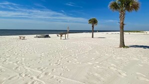 Una playa arenosa con huellas, una palmera y un banco.