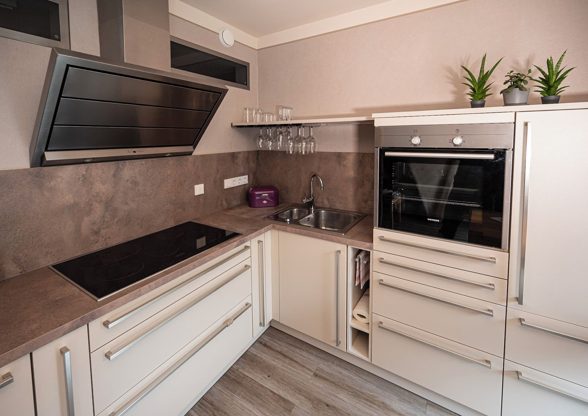 Fridge, oven, stovetop, dishwasher