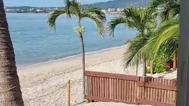 Zicht op een strand met palmbomen en een houten hek.