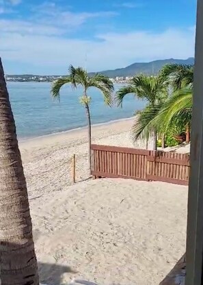 Une vue sur la plage, avec des palmiers et une clôture en bois.