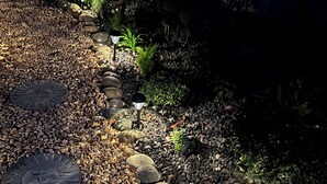 A garden pathway with stepping stones and pebbles, surrounded by various plants and shrubs.