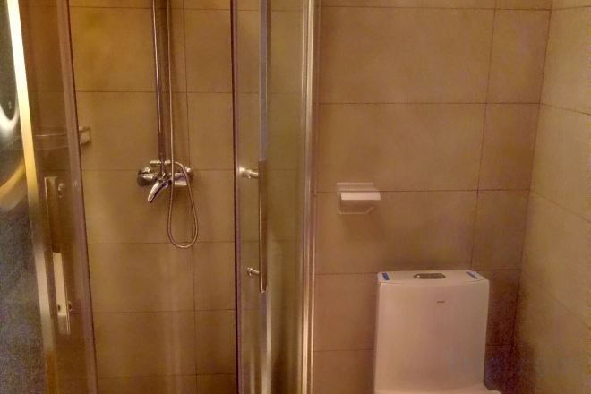Un área de ducha con puerta de vidrio, un cabezal de ducha manual y un inodoro blanco.