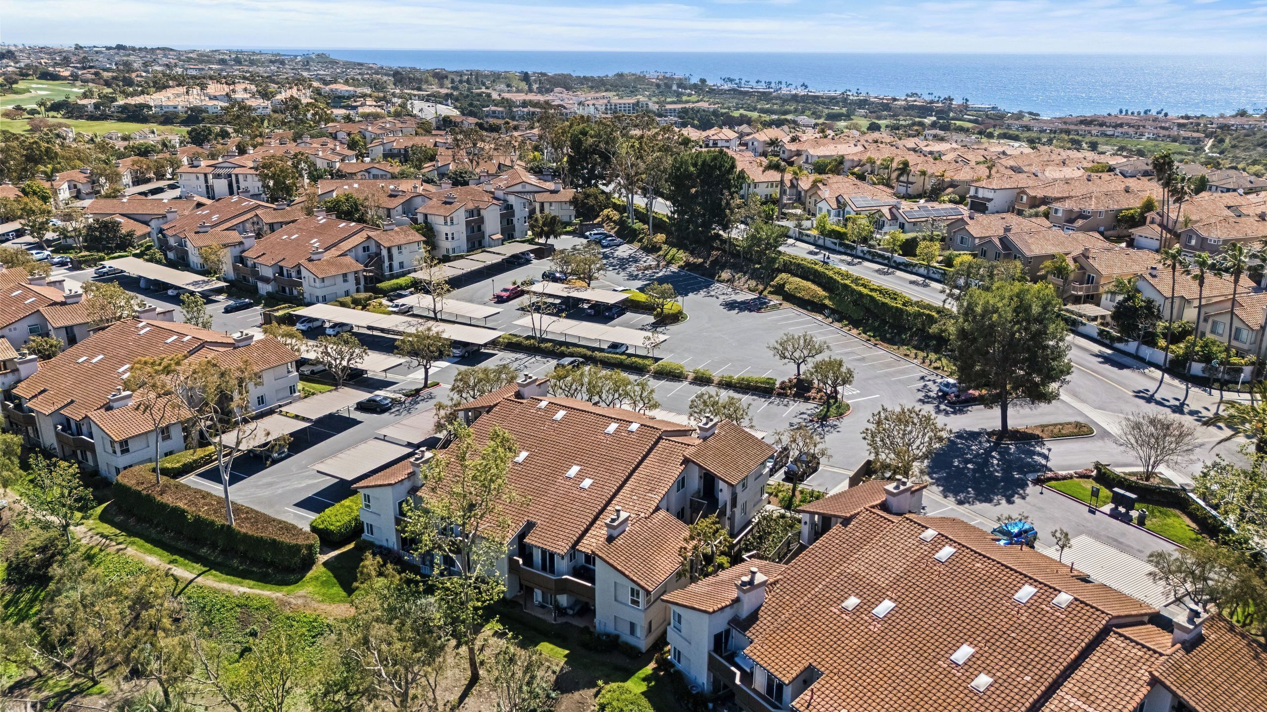 A residential area with houses, streets, and a view of the ocean.
