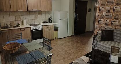 One bedroom Apartment with fireplace
Next to ski centre of Parnassos