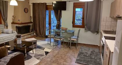One bedroom Apartment with fireplace
Next to ski centre of Parnassos