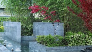 Una tranquila fuente interior con patos nadando, rodeada de exuberante follaje y flores rojas.