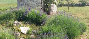 Authentic Istrian Rooms for Unforgettable Stays - Triple Room