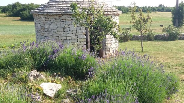 A stone structure surrounded by lavender fields. - Authentic Istrian Rooms for Unforgettable Stays - Double Room (Vodnjan)