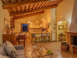 TV, fireplace, books - Apartment beautiful sunset farmhouse pascianella (Castelmuzio)