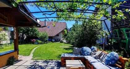 Double Room Lilija with Breakfast in Ančkin kot