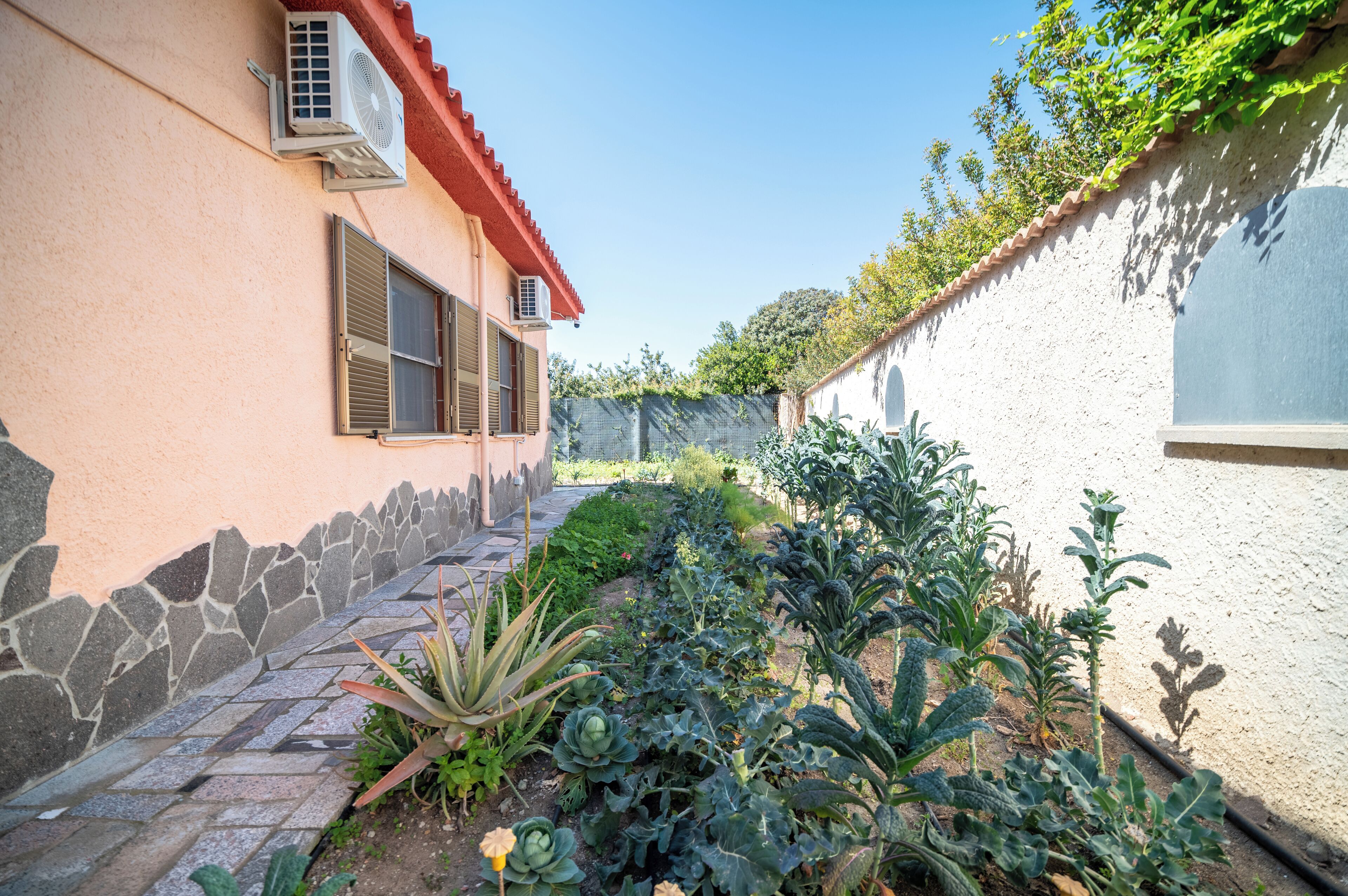 Un jardin avec différentes espèces de plantes et une maison avec un toit rouge et des unités de climatisation.