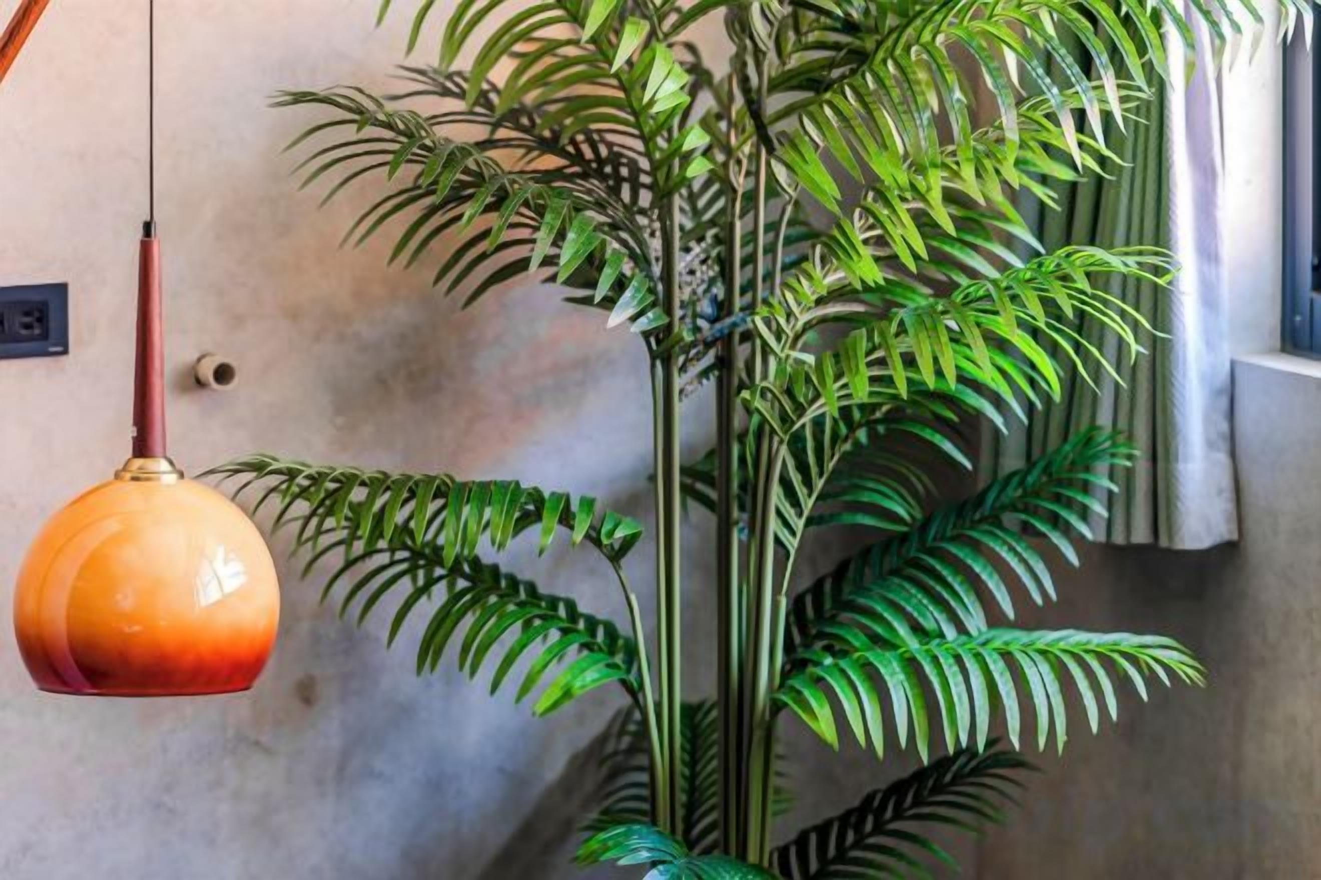A potted plant with a hanging orange light fixture on a wall.