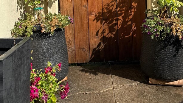 A wooden gate with a tropical design, surrounded by lush greenery and potted plants. - The Sweet Spot SB (Santa Barbara)