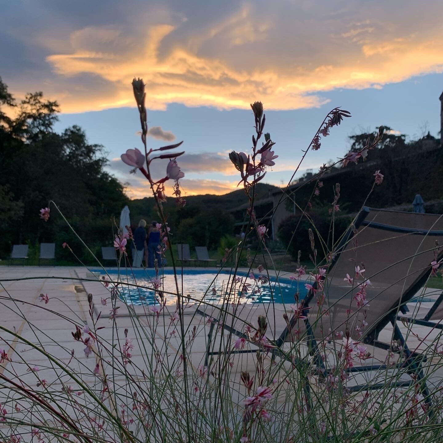 A swimming pool with a view of the sky and surrounding vegetation.