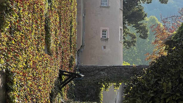 A historic tower with a conical roof, surrounded by ivy-covered walls and a stone bridge. - Chateau du rey Restaurant L'Abeuradou (Saint-Andre-de-Majencoules)