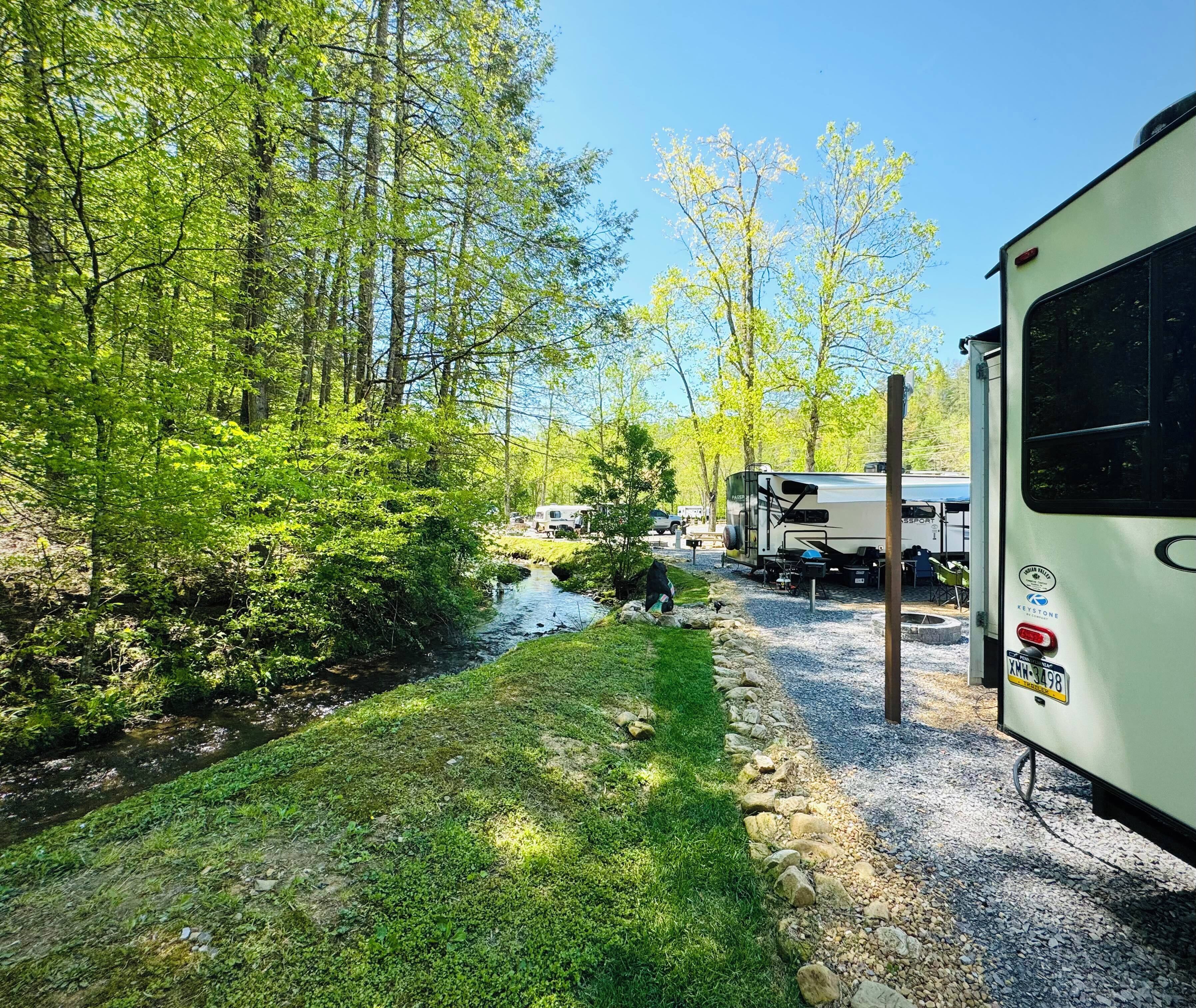A campsite with RVs parked near a stream, surrounded by trees.