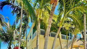 Un patio con palmeras, una piscina y un edificio con balcones.